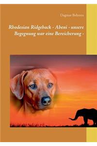 Rhodesian Ridgeback - Abeni - unsere Begegnung war eine Bereicherung -