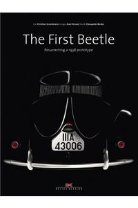 The First Beetle
