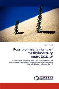 Possible mechanisms of methylmercury neurotoxicity