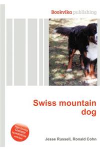 Swiss Mountain Dog