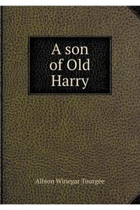 A son of Old Harry