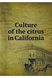 Culture of the citrus in California