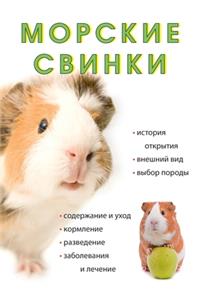 Морские свинки