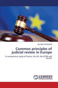 Common principles of judicial review in Europe