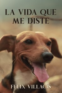 La vida que me diste