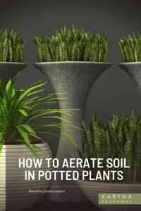 How to Aerate Soil in Potted Plants