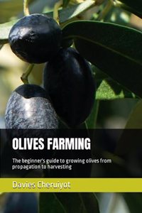 Olives Farming