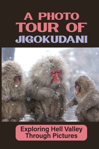 Photo Tour Of Jigokudani