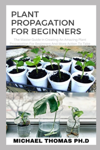 Plant Propagation for Beginners