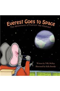 Everest Goes to Space