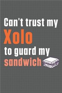 Can't trust my Xolo to guard my sandwich