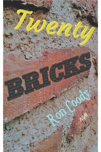 Twenty Bricks