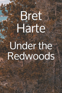 Under the Redwoods