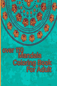 over 110 Mandala Coloring Book For Adult