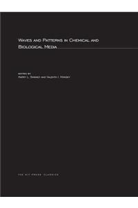 Waves and Patterns in Chemical and Biological Media