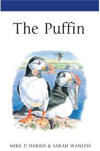 Puffin