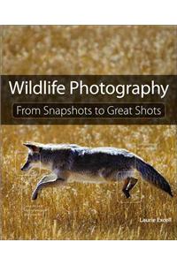 Wildlife Photography