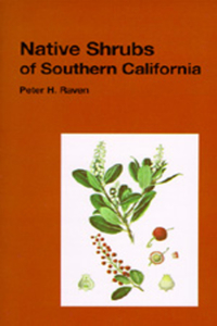 Native Shrubs of Southern California