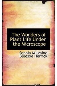 The Wonders of Plant Life Under the Microscope