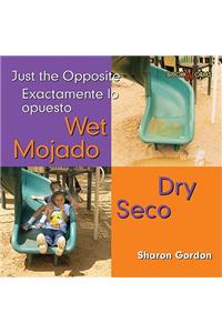 Mojado, Seco / Wet, Dry