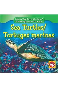 Sea Turtles / Tortugas Marinas