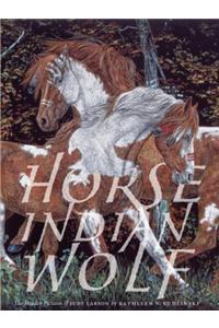 Horse Indian Wolf: The Hidden Pictures of Judy Larson