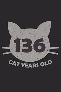 136 Cat Years Old