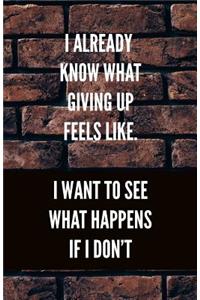 I Already Know What Giving Up Feels Like. I Want To See What Happens If I Don't