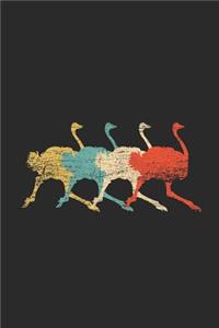 The Ostrich