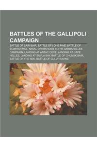 Battles of the Gallipoli Campaign: Battle of Sari Bair, Battle of Lone Pine, Battle of Scimitar Hill