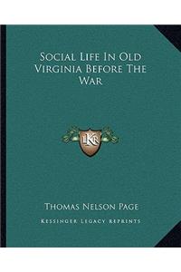 Social Life in Old Virginia Before the War