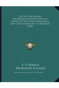 On The Descending Degenerations Which Follow Lesions Of The Gyrus Marginalis And Gyrus Fornicatus In Monkeys (1889)