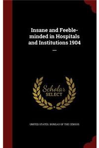 Insane and Feeble-Minded in Hospitals and Institutions 1904 ...