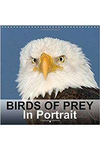 Birds of Prey in Portrait 2017