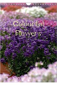 Colourful Flowers 2018