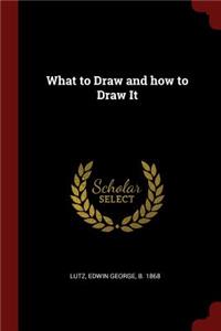 What to Draw and how to Draw It