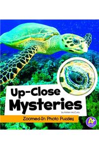 Up-Close Mysteries