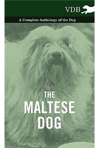 The Maltese Dog - A Complete Anthology of the Dog