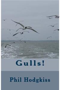 Gulls!