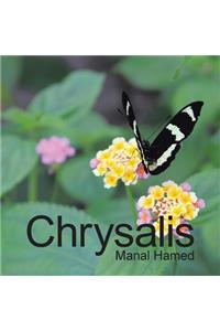 Chrysalis