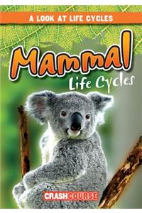 Mammal Life Cycles