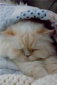 Sleeping Persian Cat Journal: 150 Page Lined Notebook/Diary