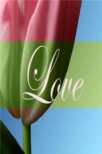 Wedding Journal Love Pink Tulip Blue Sky