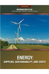 Energy Supplies Sustainability Cost