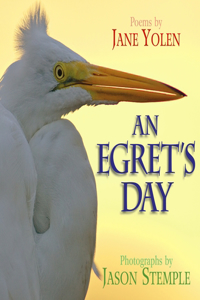Egret's Day