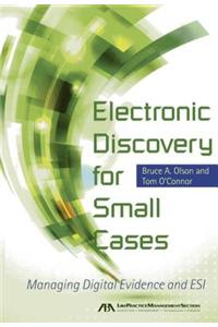 Electronic Discovery for Small Cases