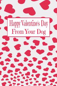 Happy Valentine's Day