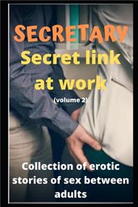 SECRETARY Secret link at work (volume 2)