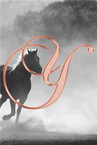 Y Journal