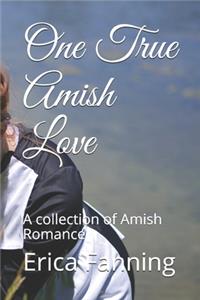One True Amish Love